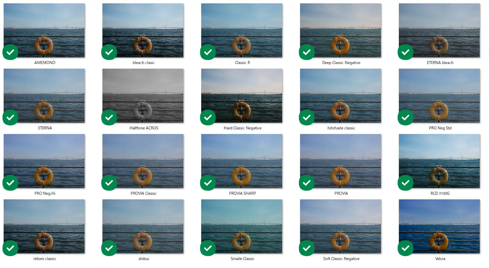 Fujifilm X RAW Studio 154 Fujifilm X RAW Studio - Film Simulation_02