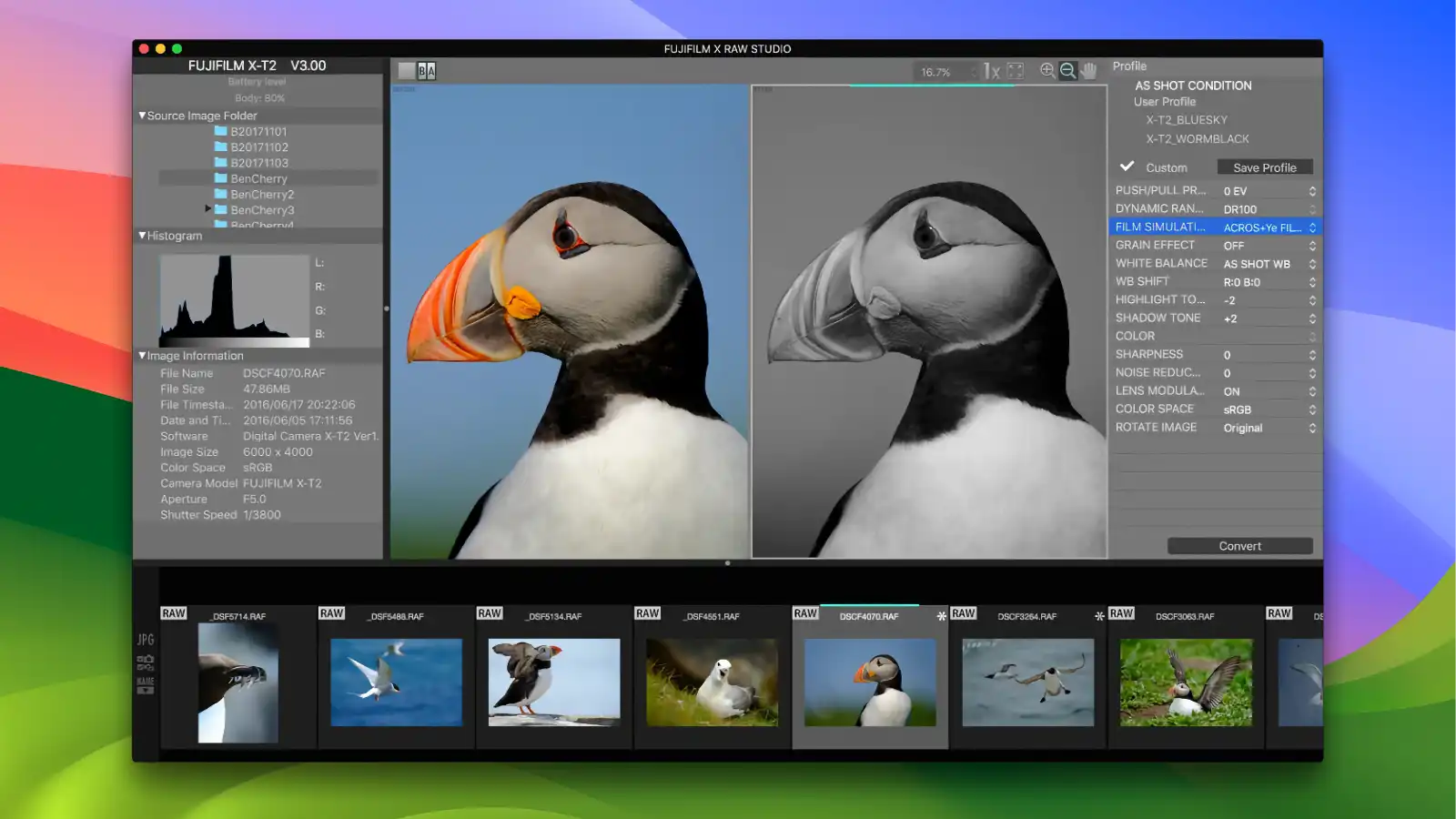 Fujifilm X RAW Studio 153 Fujifilm X RAW Studio - RAW File Editing_01